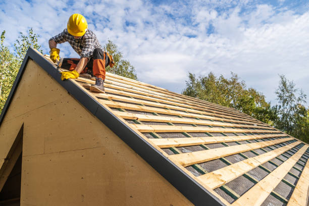 Best Roof Gutter Cleaning  in Laughlin Af, TX